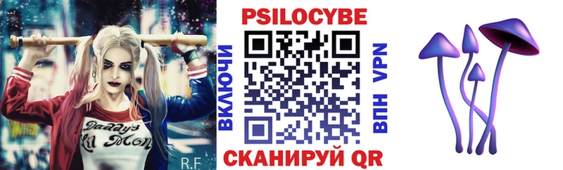 Псилоцибиновые грибы ЛСД  Купить закладки  Зубцов 